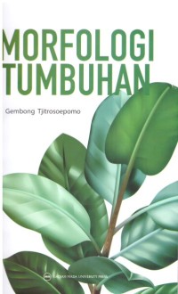MORFOLOGI TUMBUHAN